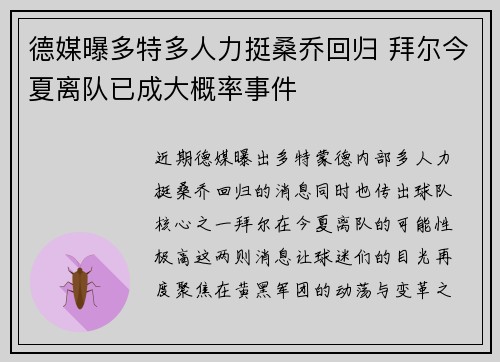 德媒曝多特多人力挺桑乔回归 拜尔今夏离队已成大概率事件